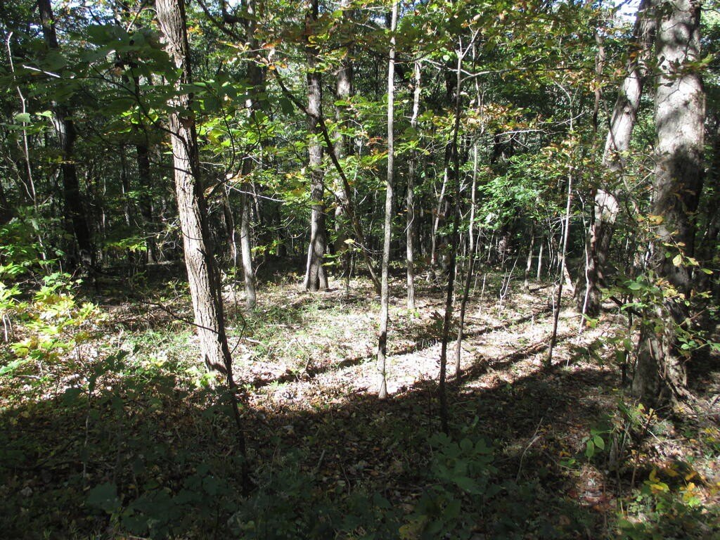 Picture 20