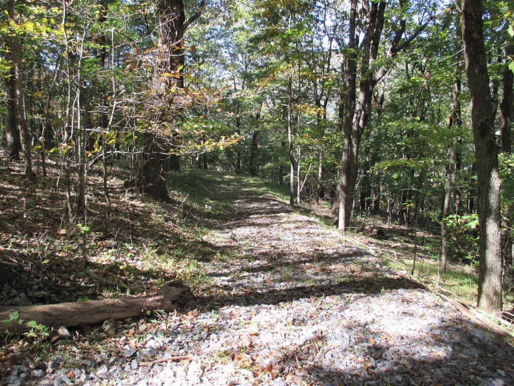 Picture 6