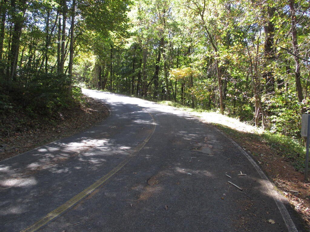 Picture 21