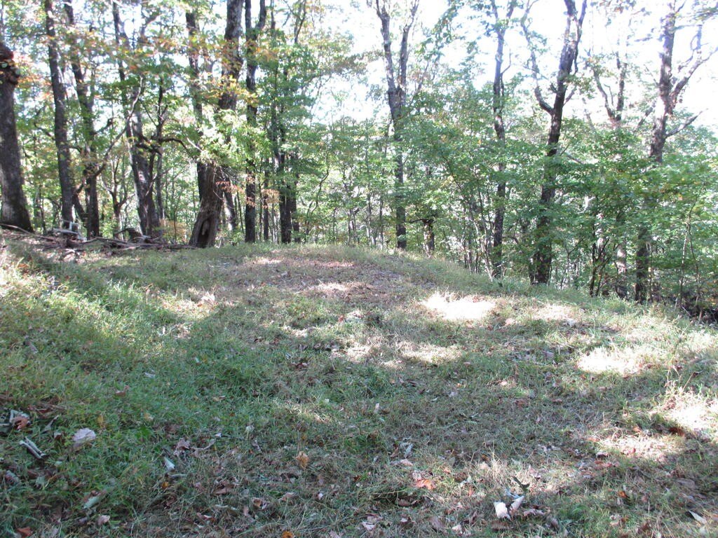Picture 12