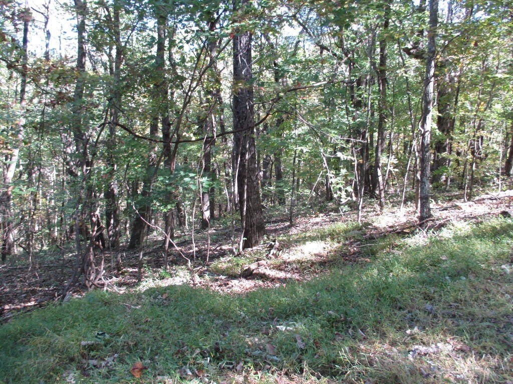 Picture 13