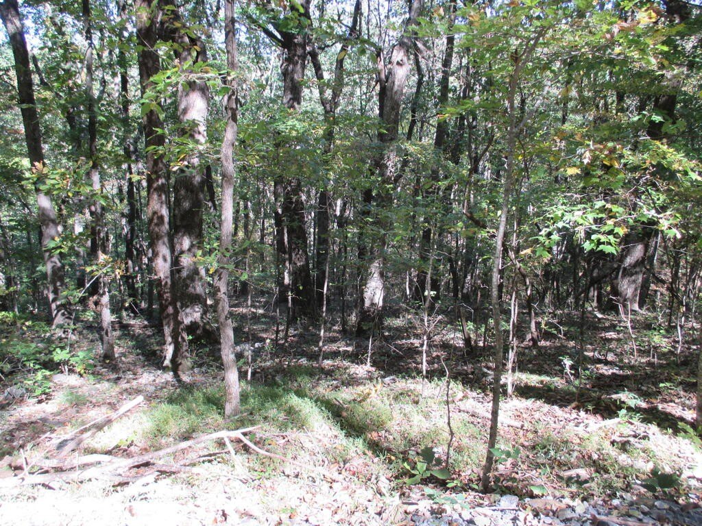 Picture 8