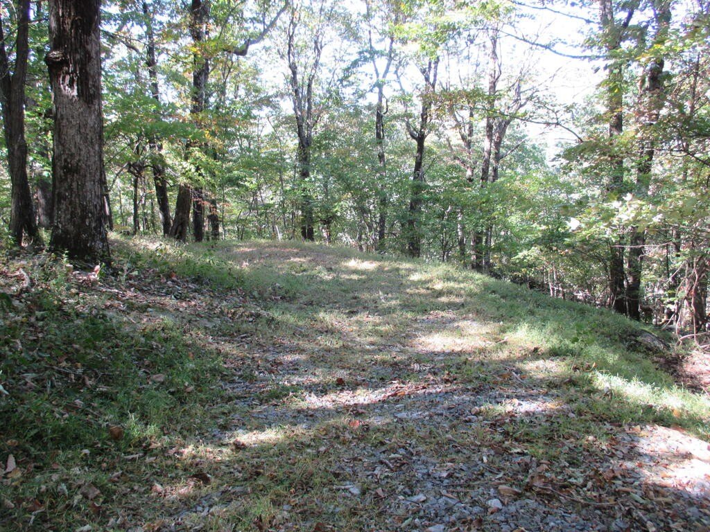 Picture 10