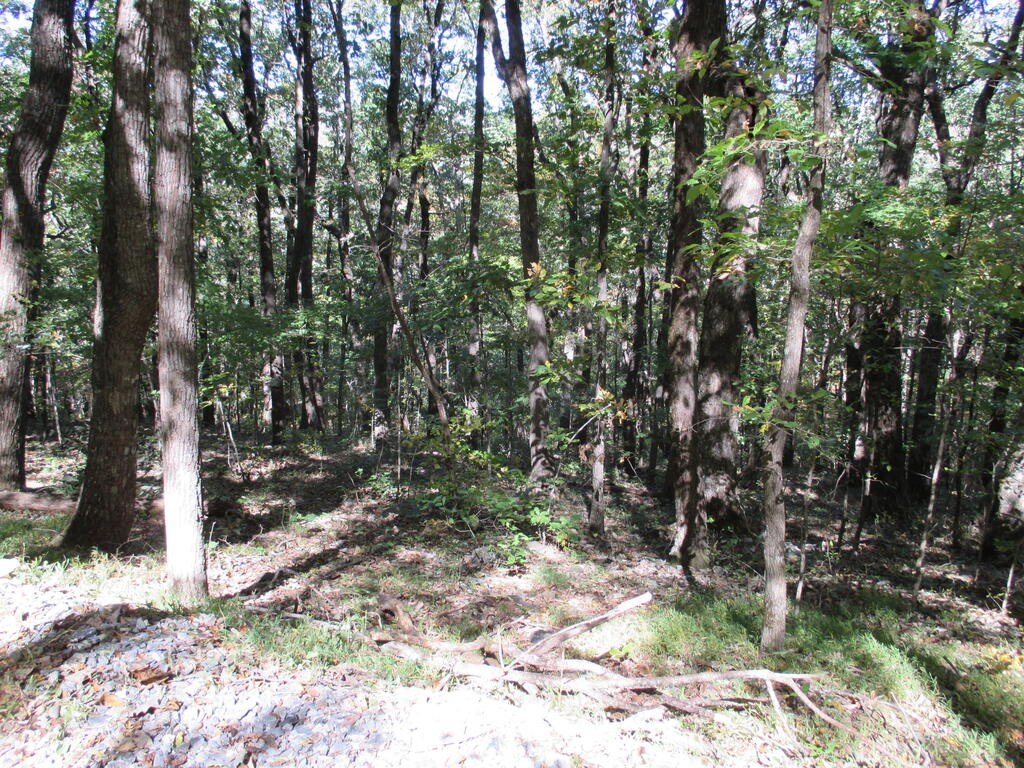 Picture 7