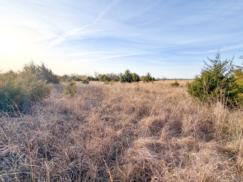 Picture 45