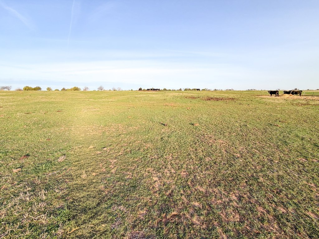 Picture 40