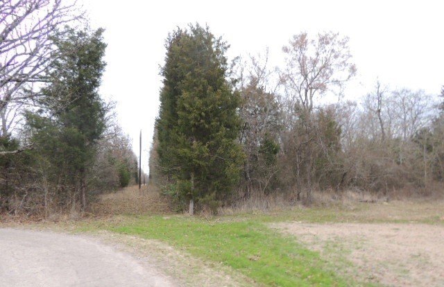 Picture 3