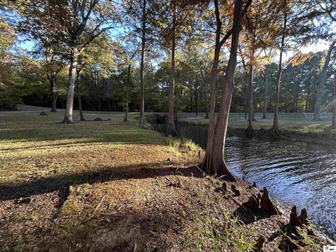 LAND - Downsville, LA