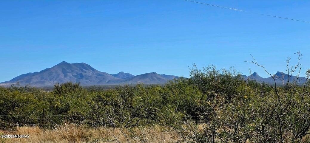 Hereford Land with Mountain Views