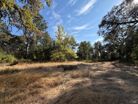 Land, Covelo, CA
