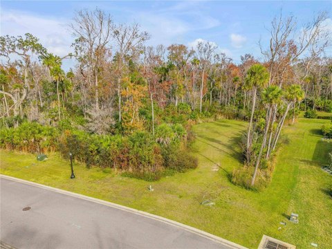 Land, New Smyrna Beach, FL