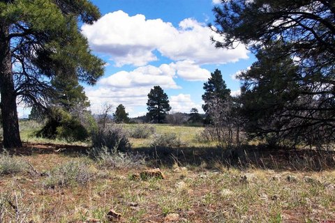 Land in Pagosa Springs, CO