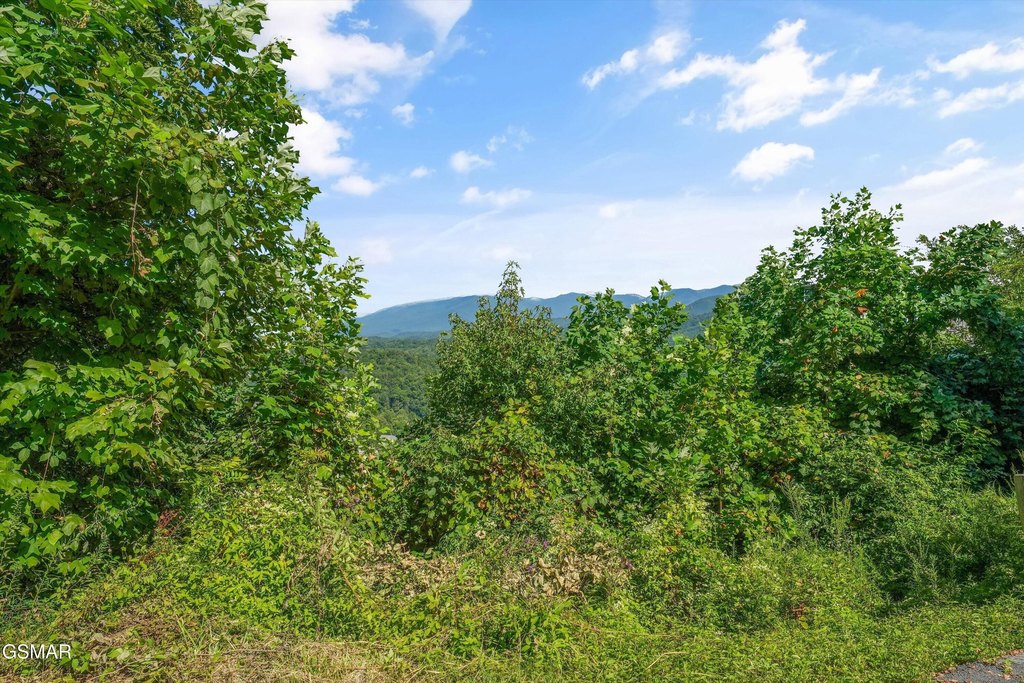 Picture 26