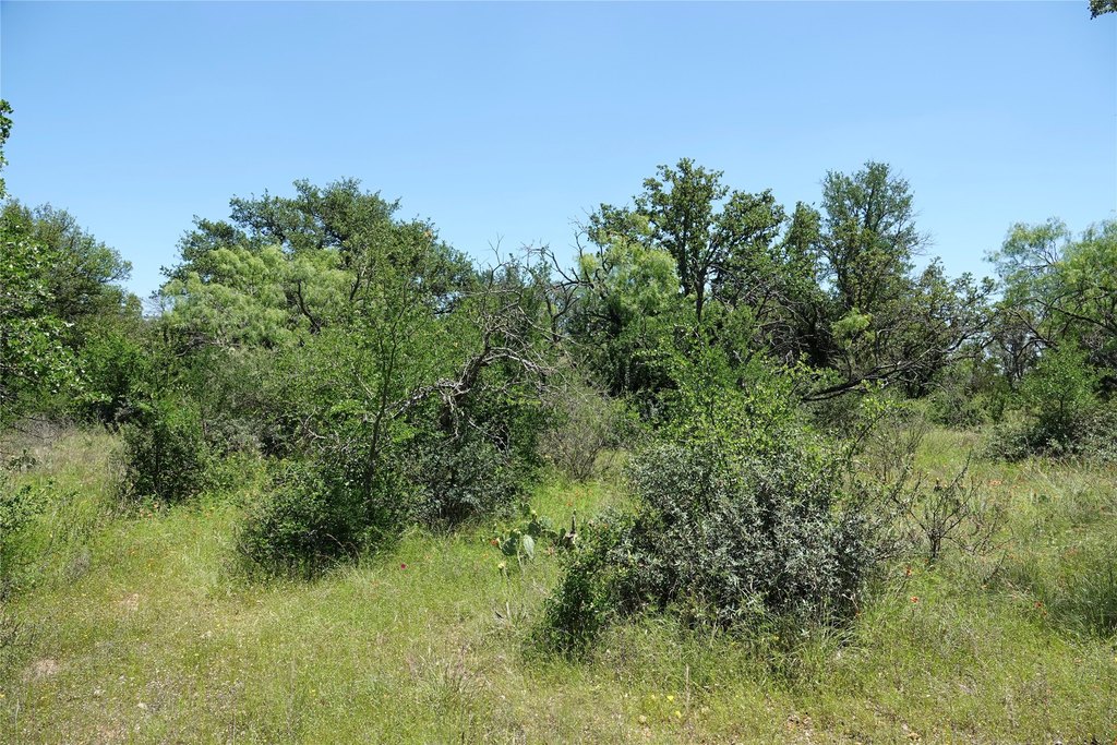 Picture 37
