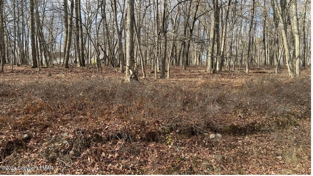 Land Near Game Lands