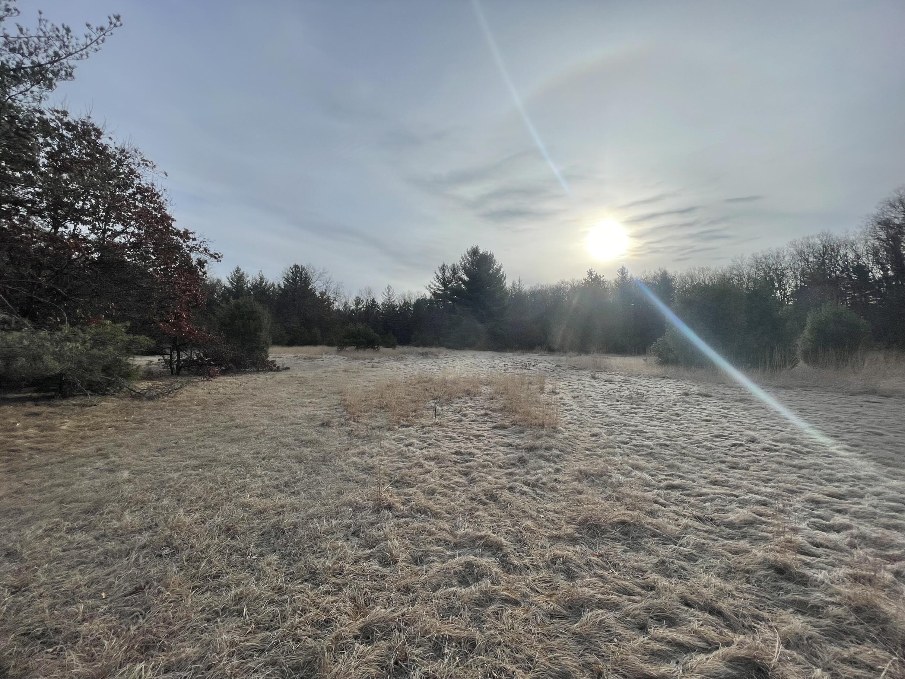 20-Acre Hunting Land with Mobile Home
