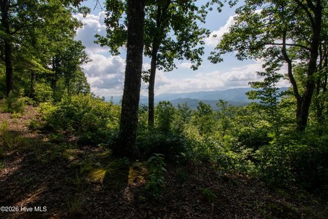 LAND - Marble, NC