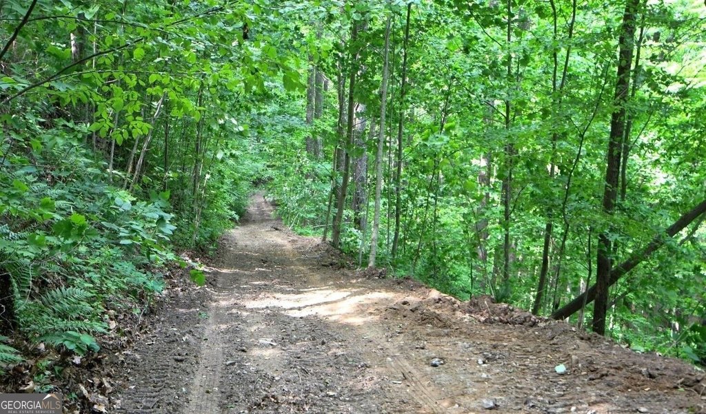Picture 3