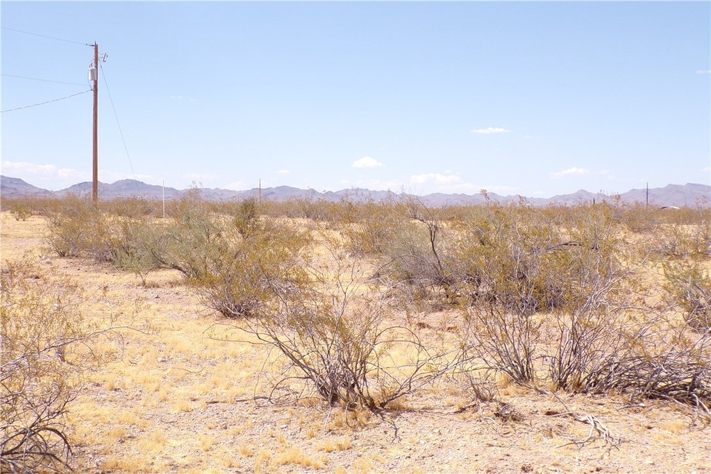 Picture 41