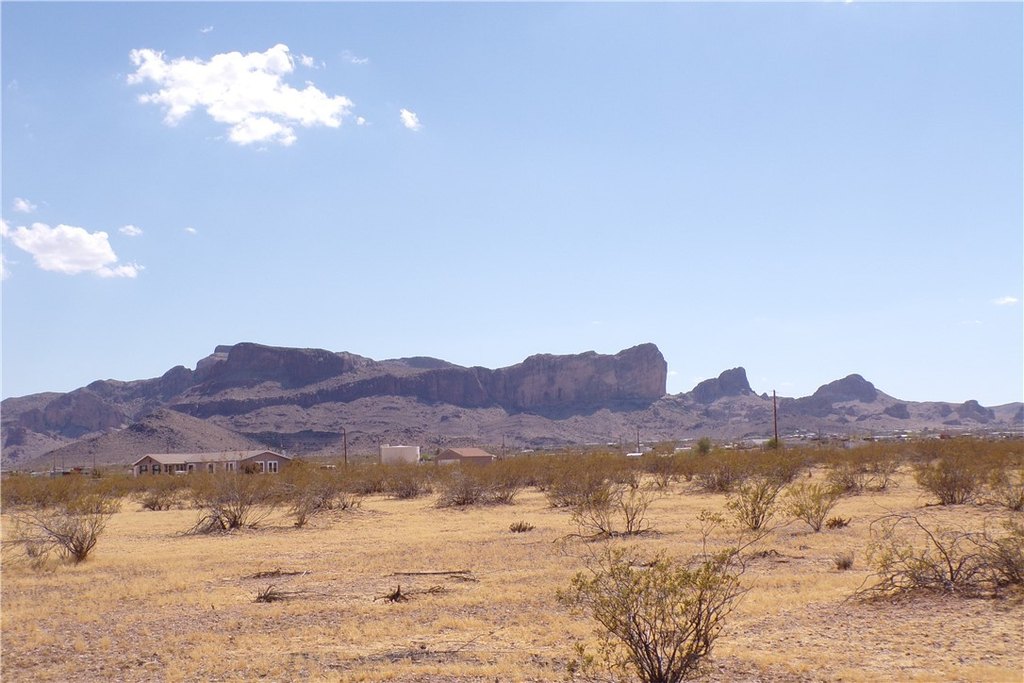 Picture 48