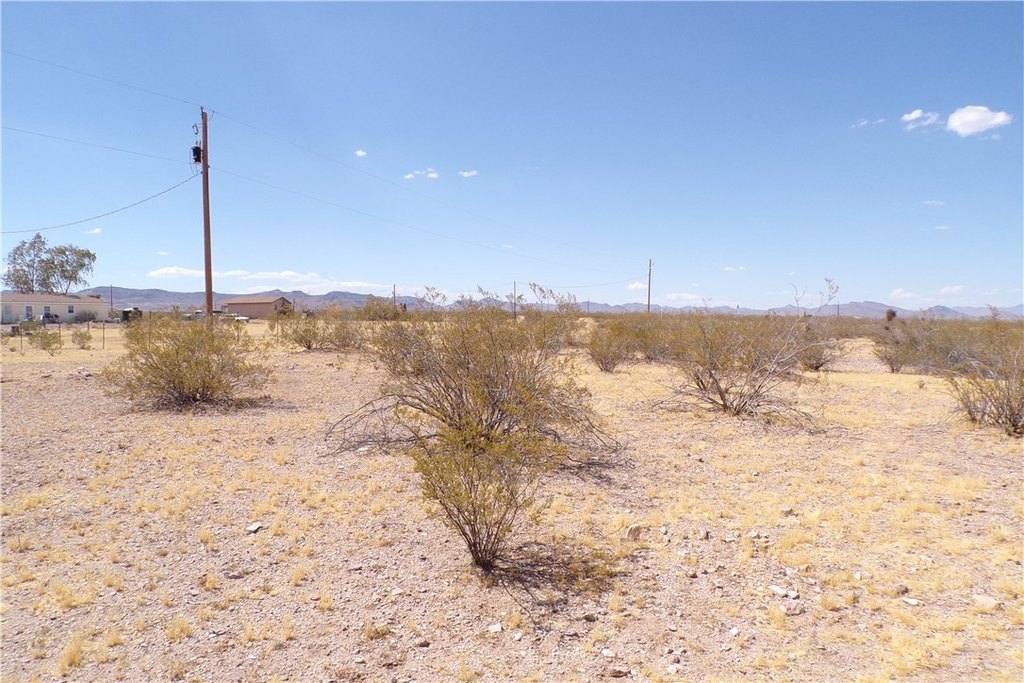 Picture 33