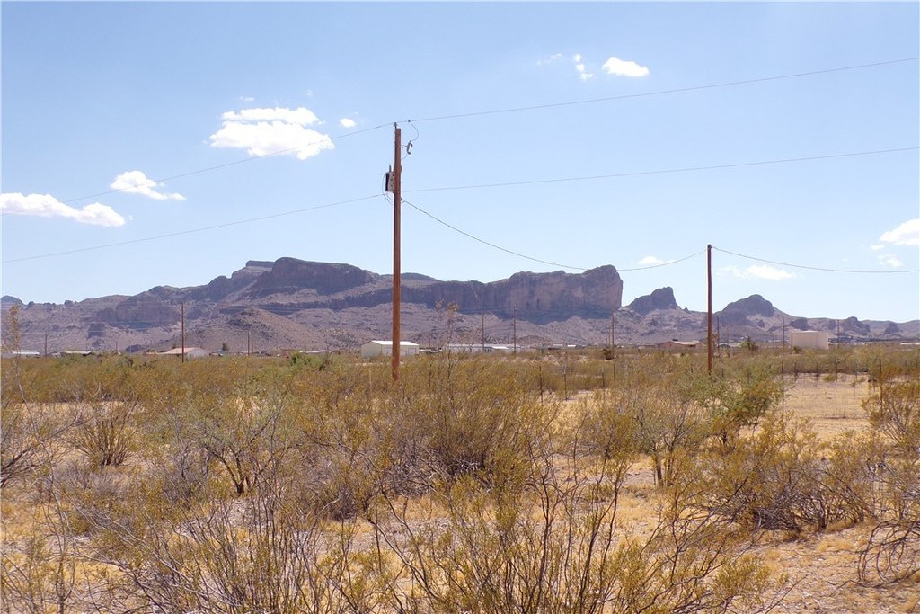Picture 38