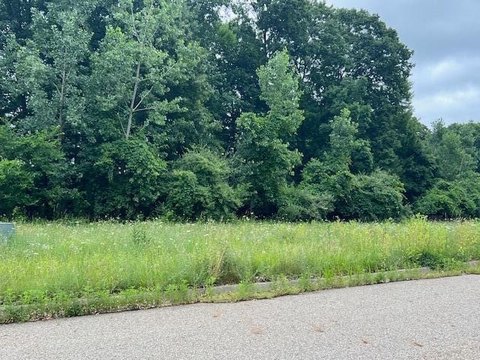 Land, Marshall, MI