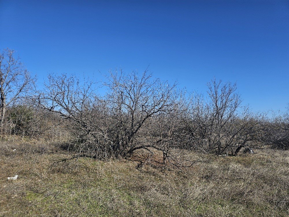 Picture 8