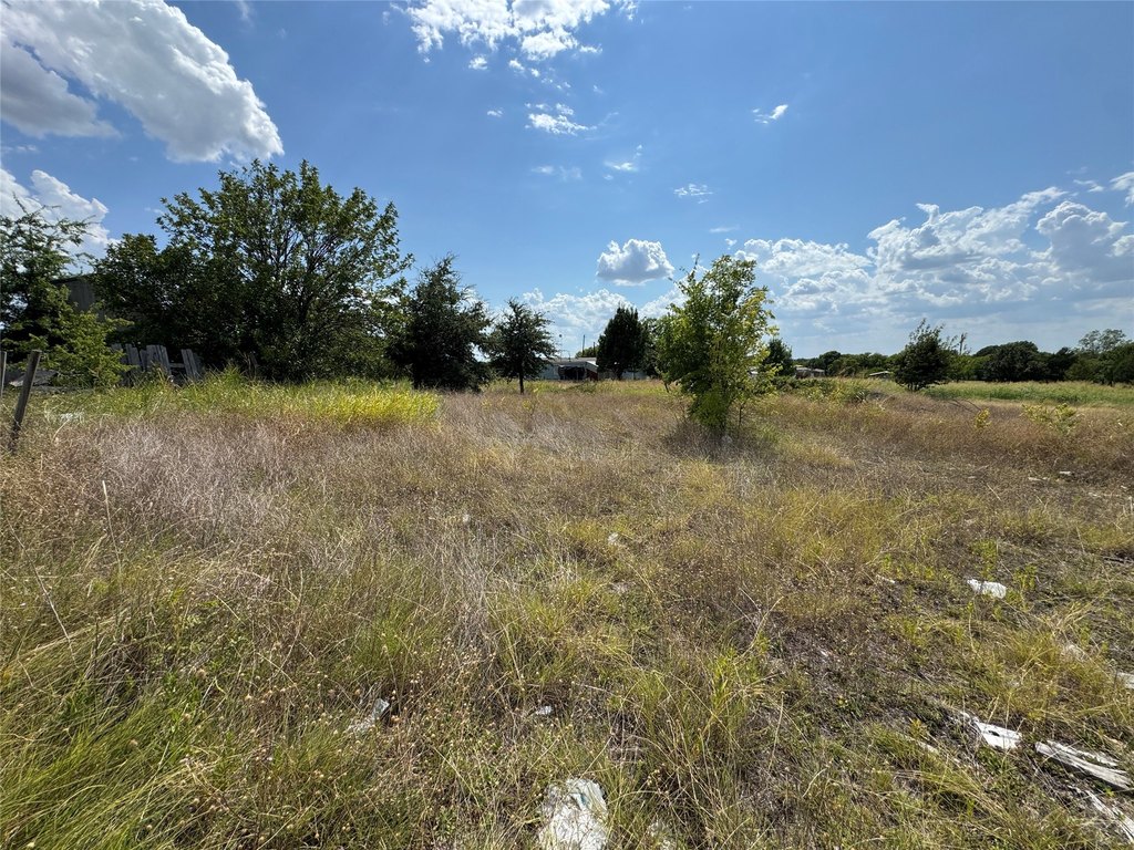 Picture 4