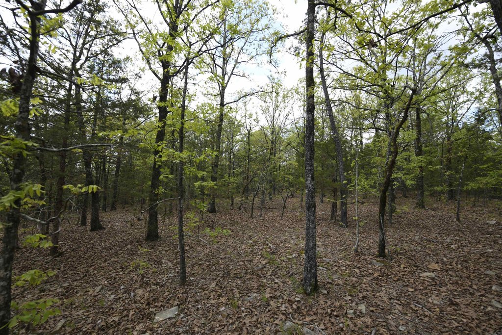 Picture 16