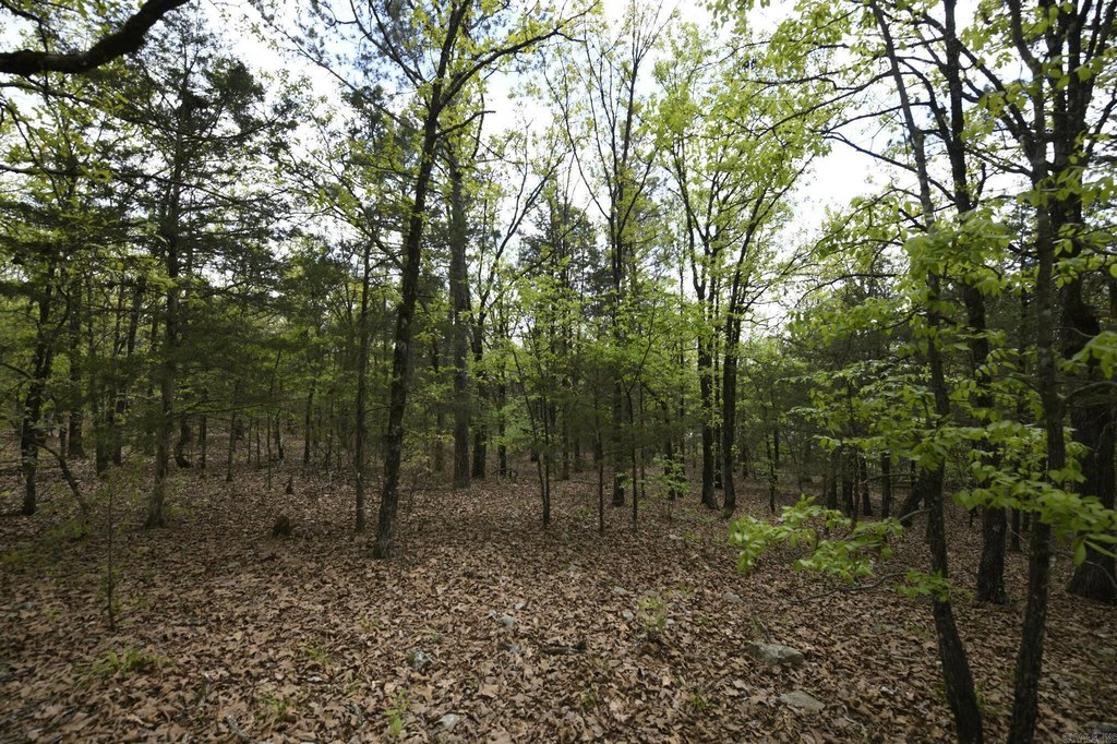 Picture 19