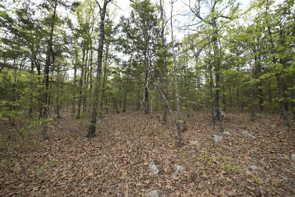 Picture 14