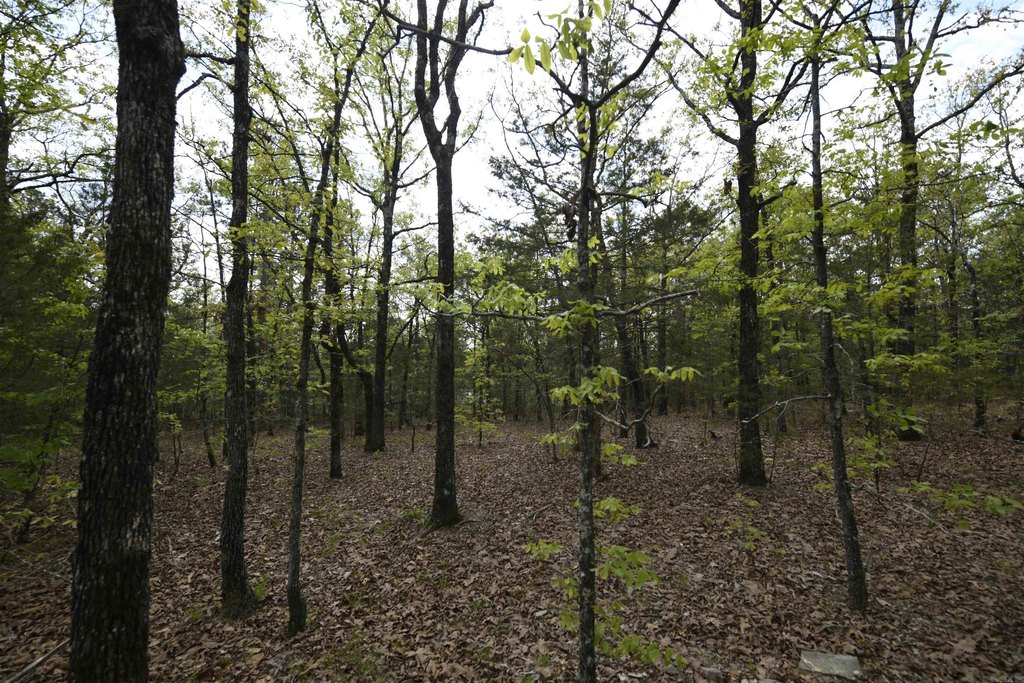 Picture 17