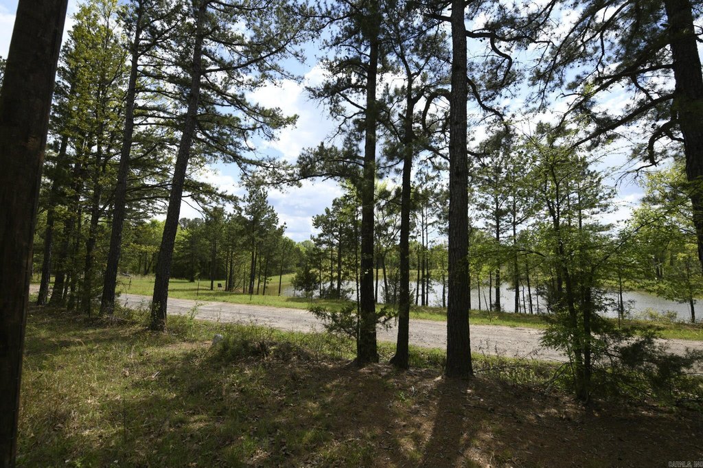 Picture 8