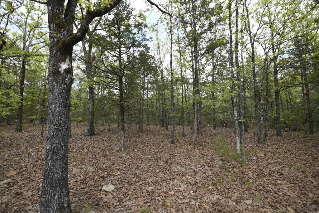 Picture 15