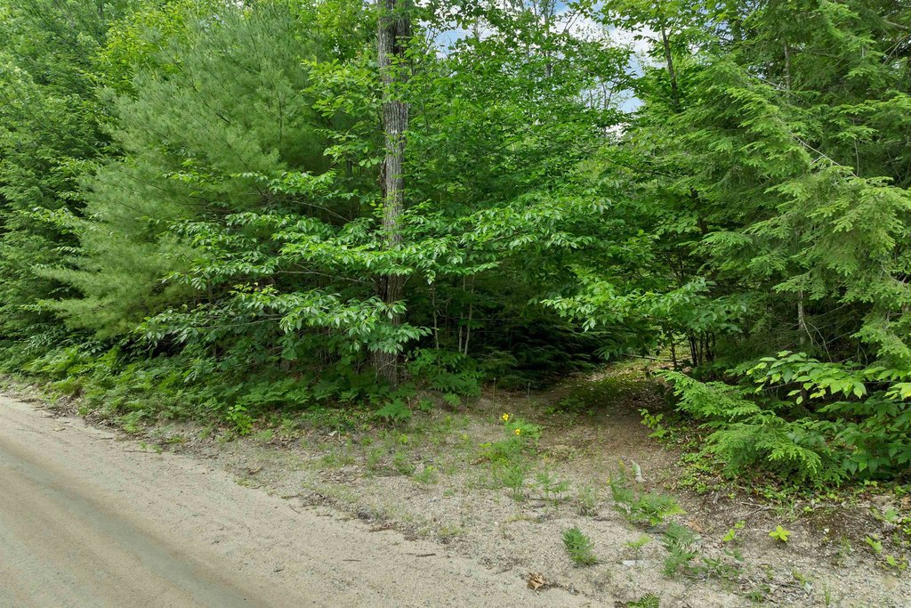 Picture 23