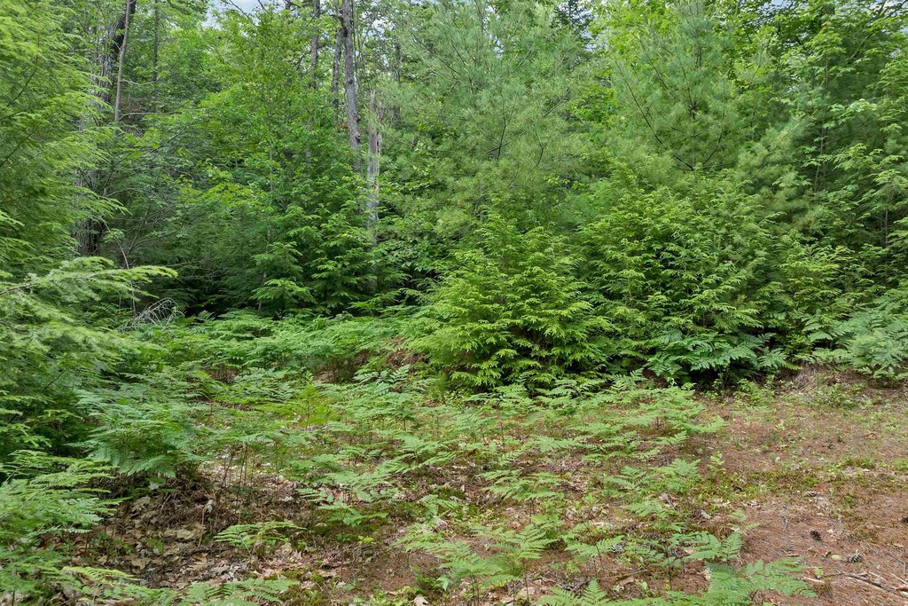 Picture 25