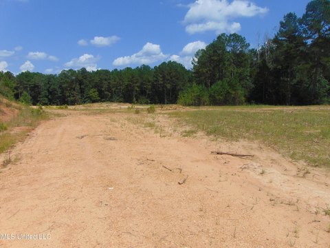 Versatile Land in Wesson, MS