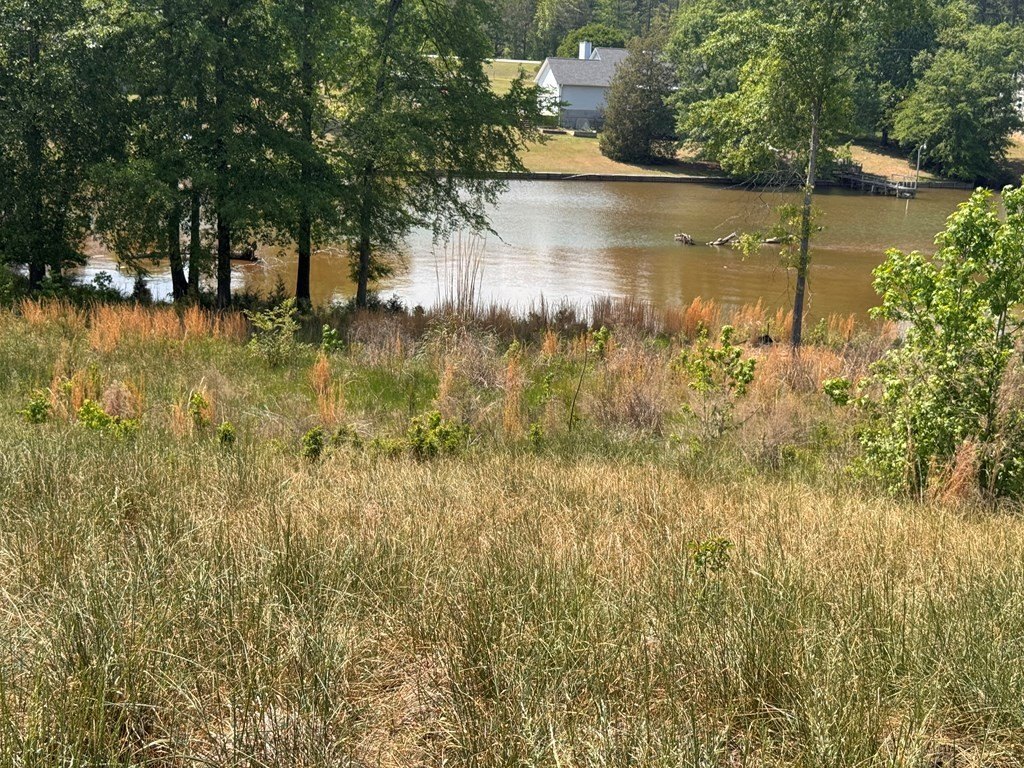 Picture 7