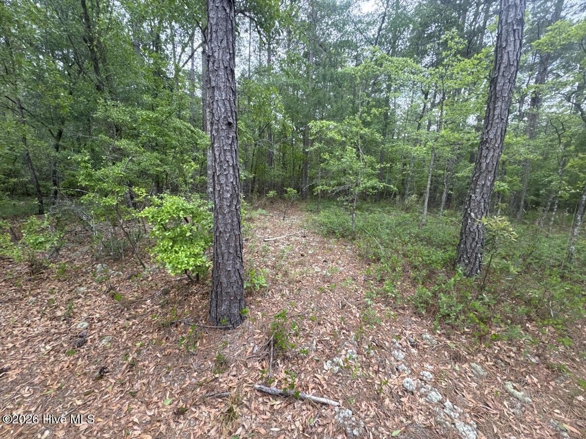 Atkinson Land with Creek Frontage