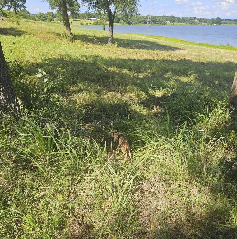 Picture 25
