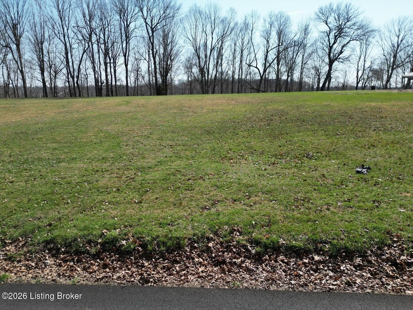 Lakefront Land in Leitchfield, KY