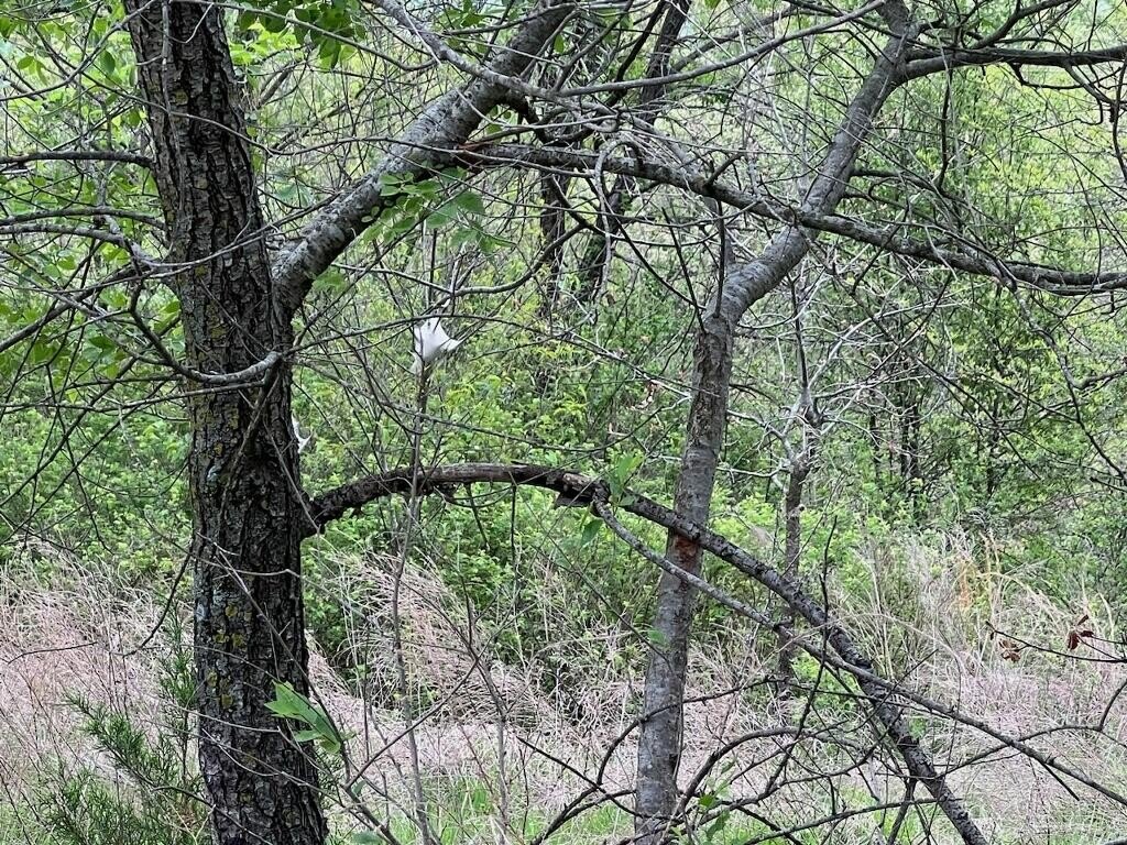 Picture 23