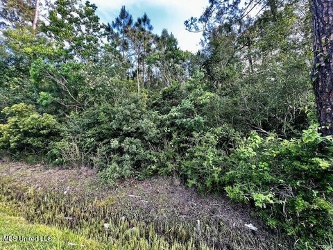 Wooded Lots in Coastal Waveland