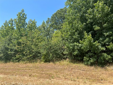 Wooded Industrial Land Parcel