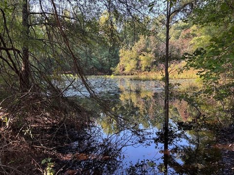 Residential Lot with Pond View