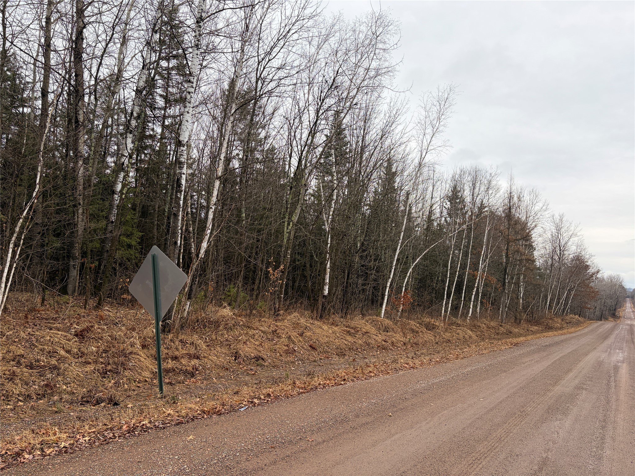 Ladysmith, WI Forestland for Sale