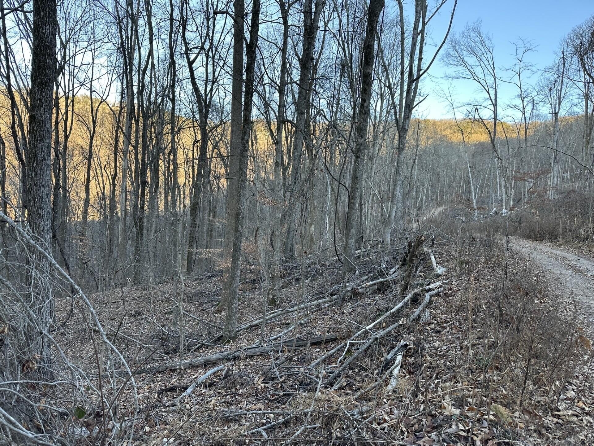 Pikeville, TN Mountain View Land