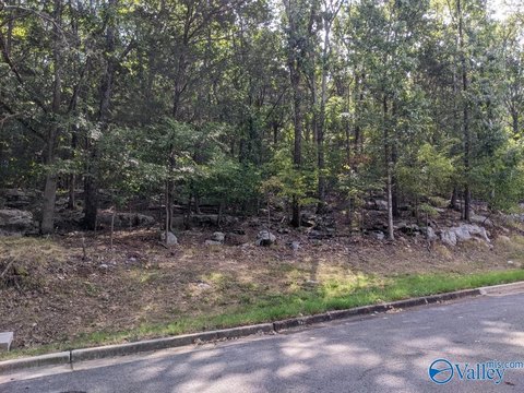 Secluded Wooded Land in Huntsville