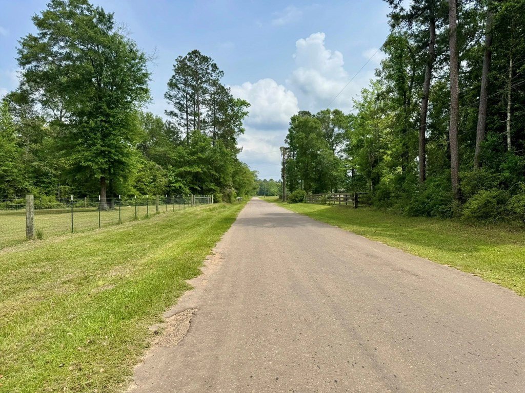 Picture 19